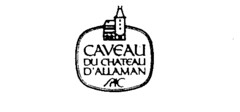 CAVEAU DU CHATEAU D'ALLAMAN