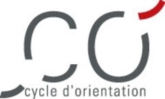 CO cycle d'orientation