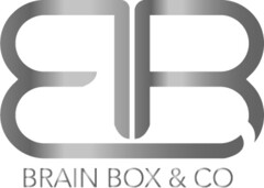 BB BRAIN BOX & CO