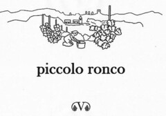 piccolo ronco V