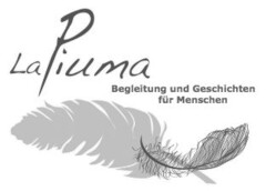 La Piuma Begleitung und Geschichten für Menschen