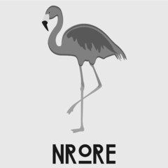 NRoRE