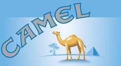 CAMEL