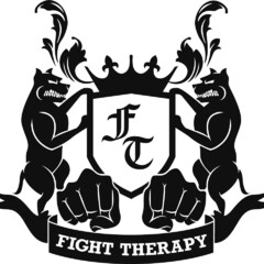 FT FIGHT THERAPY