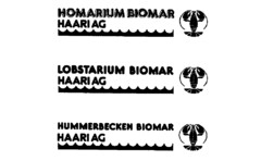 HOMARIUM BIOMAR HAARI AG LOBSTARIUM BIOMAR HAARI AG HUMMERBECKEN BIOMAR HAARI AG