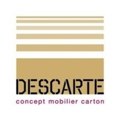 DESCARTE concept mobilier carton