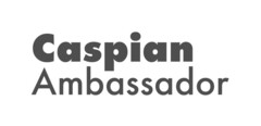 Caspian Ambassador