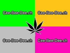 Cee-Bee-Dee.ch Cee-Bee-Dee.ch Cee-Bee-Dee.ch Cee-Bee-Dee.ch