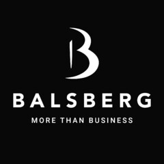 B BALSBERG MORE THAN BUSINESS