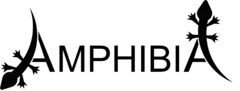 AMPHIBIA