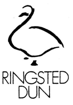 RINGSTED DUN