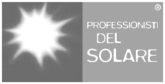 PROFESSIONISTI DEL SOLARE