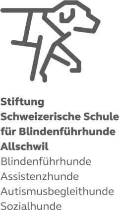 Stiftung Schweizerische Schule für Blindenführhunde Allschwil Blindenführhunde Assistenzhunde Autismusbegleithunde Sozialhunde