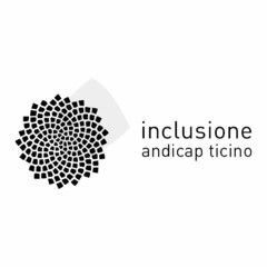 inclusione andicap ticino