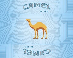 CAMEL BLUE