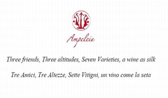 Ampeleia Three friends, Three altitudes, Seven Varieties, a wine as silk Tre Amici, Tre Altezze, Sette Vitigni, un vino come la seta