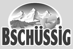 BSCHÜSSIG