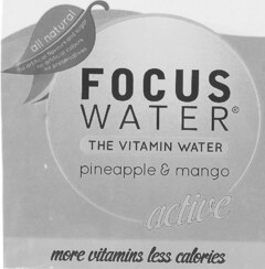 all natural FOCUS WATER THE VITAMIN WATER pineapple & mango active more vitamines less calories