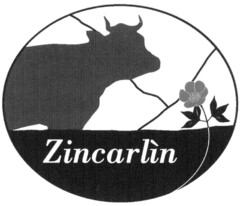 zincarlìn