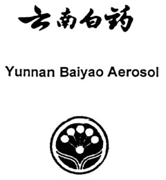 Yunnan Baiyao Aerosol