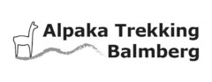 Alpaka Trekking Balmberg