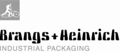 Brangs+Heinrich INDUSTRIAL PACKAGING