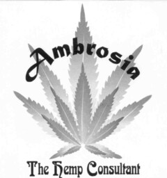 Ambrosia The Hemp Consultant