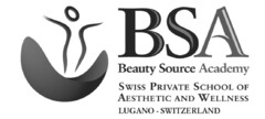 BSA Beauty Source Academy SWISS PRIVATE SCHOOL OF AESTHETIC AND WELLNESS LUGANO - SWITZERLAND