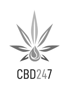 CBD247