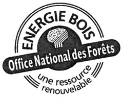 ENERGIE BOIS Office National des Forêts une ressource renouvelable