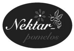 Nektar-pomelos