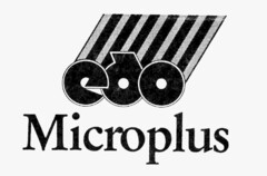 edo Microplus