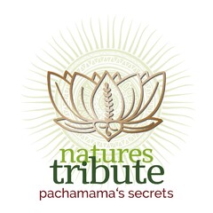 natures tribute pachamama's secrets