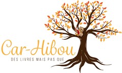 Car-Hibou DES LIVRES MAIS PAS QUE