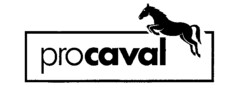 procaval