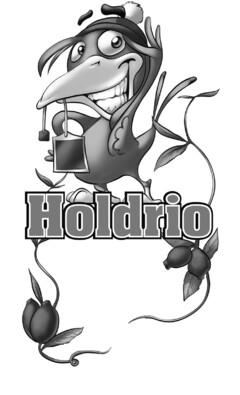 Holdrio