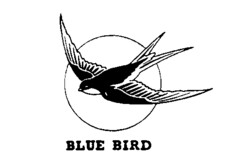 BLUE BIRD