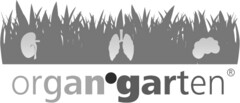 organ garten