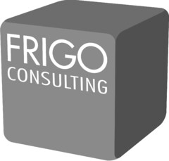 FRIGO CONSULTING