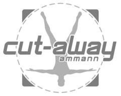 cut-away ammann