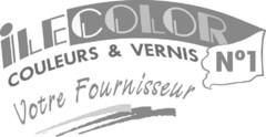 iLE COLOR COULEURS & VERNIS N°1 Votre Fournisseur