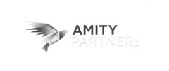 AMITY PARTNERS