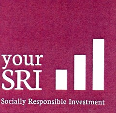 your SRI Socially Responsible Investment
