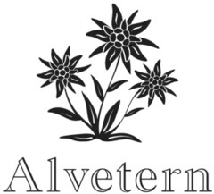 Alvetern