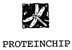 PROTEINCHIP