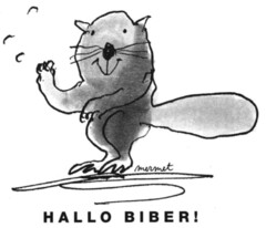 HALLO BIBER