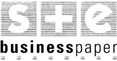 s+e businesspaper