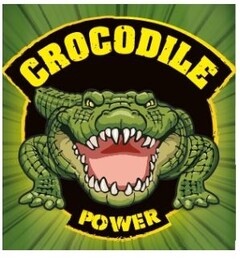 CROCODILE POWER