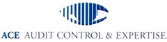 ACE AUDIT CONTROL & EXPERTISE