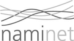 naminet